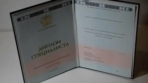 Купить диплом Сызранского филиала Самарского государственного экономического университета в Ижевске